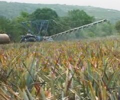 Spraying